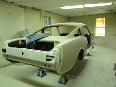 Shelby 6-28-2010 014